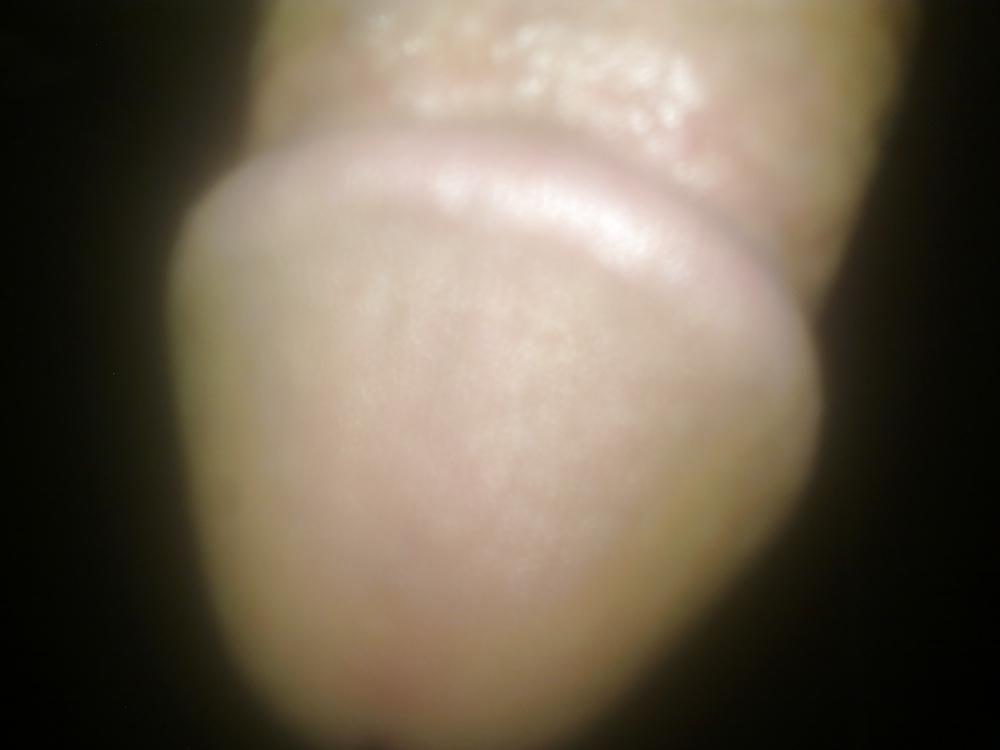 16P Would you like to lick?