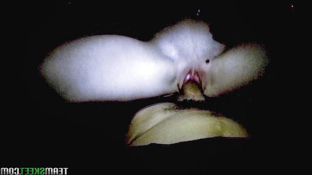 16P Dillion Carter sucks dick and and takes it doggystyle in homemade action