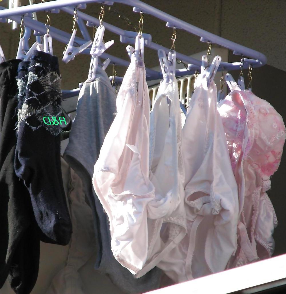 25P Nylon panties on clotheslines