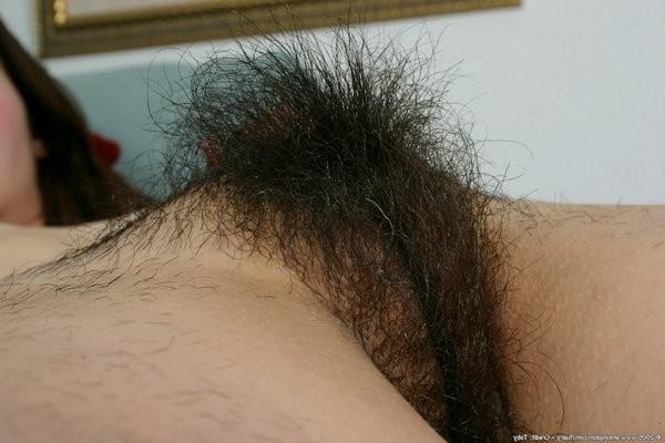 15P Zephora has a super super hairy pussy