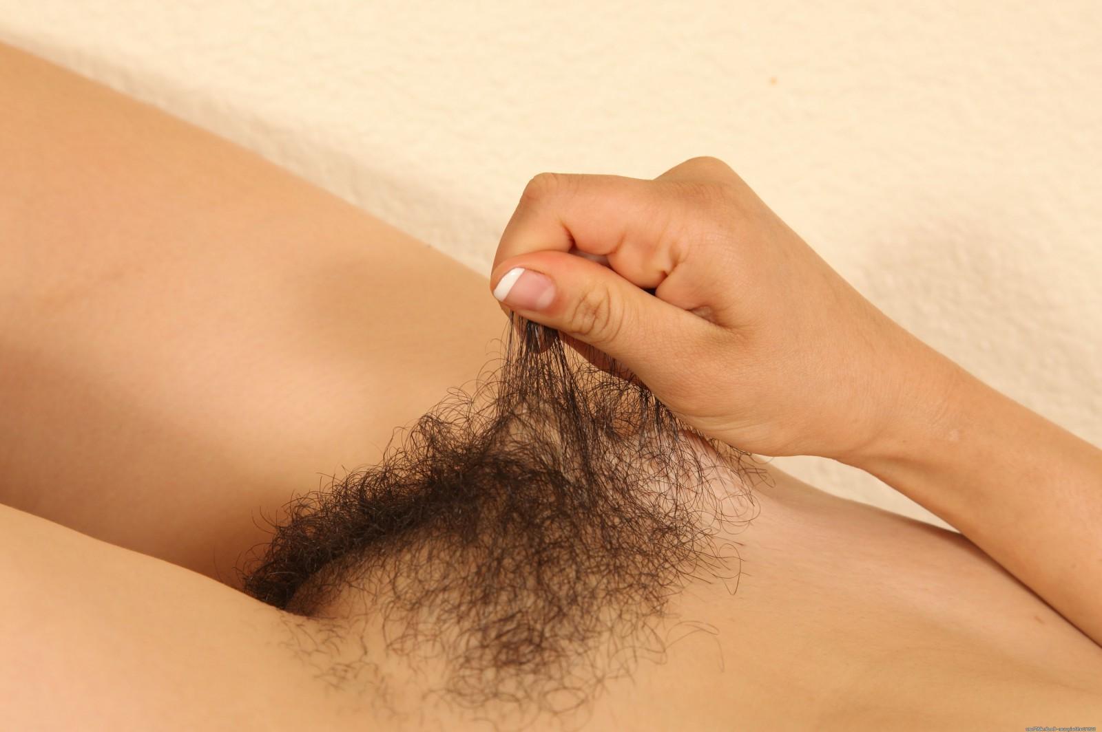 15P Hirsute natural amateur babe spreading pussy