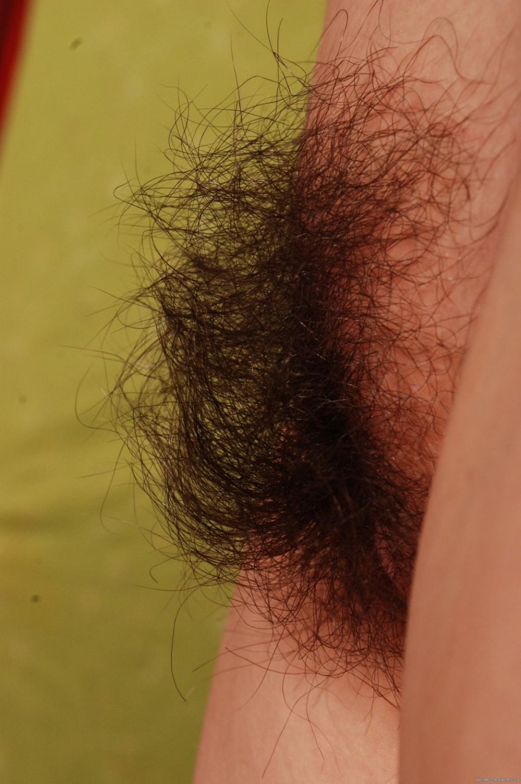 15P Natural hairy pussy teen Ariel shows off muff