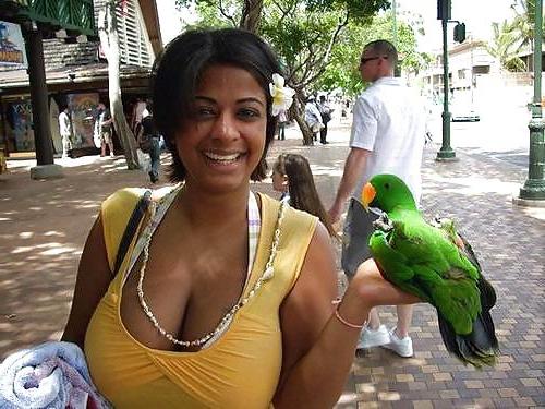 25P BUSTY AMATEUR VII
