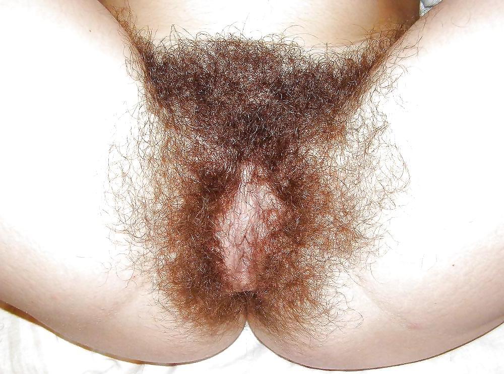 10P Hairy pussys i like to lick