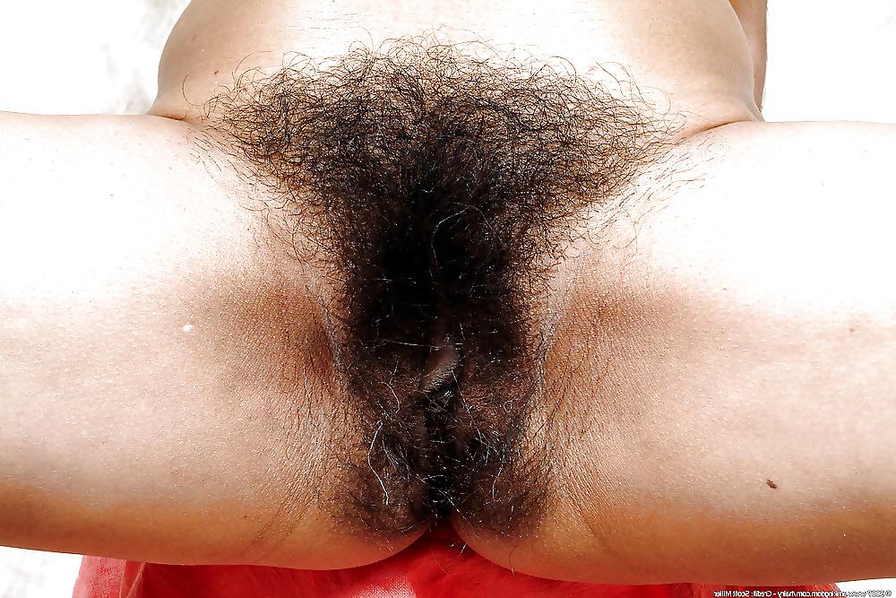 10P Hairy pussys i like to lick