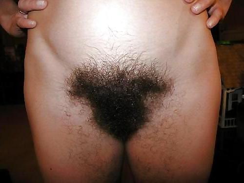 10P Hairy pussys i like to lick