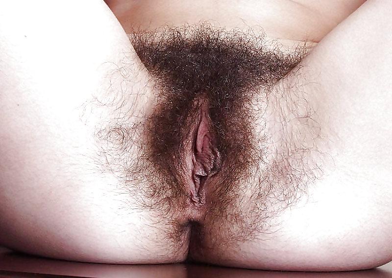 10P Hairy pussys i like to lick