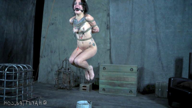 16P Pay no attention to the slut inside the box, Juliette. If you can make PD happy 