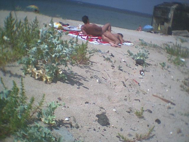 15P Perky breasted sexy babe poses on a nude beach