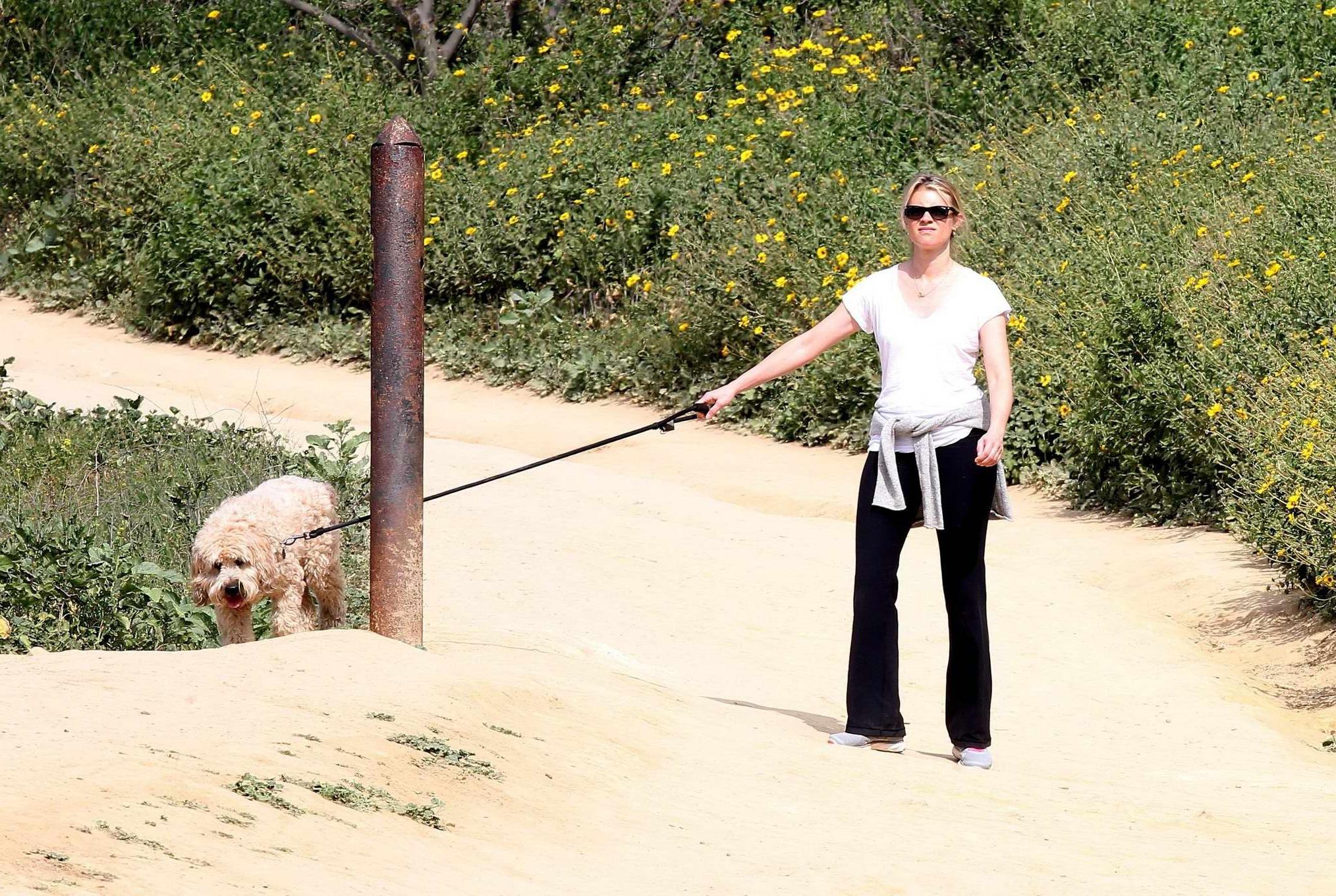 16P Amy Smart downblouse while walking her dog at a park in Beverly Hills