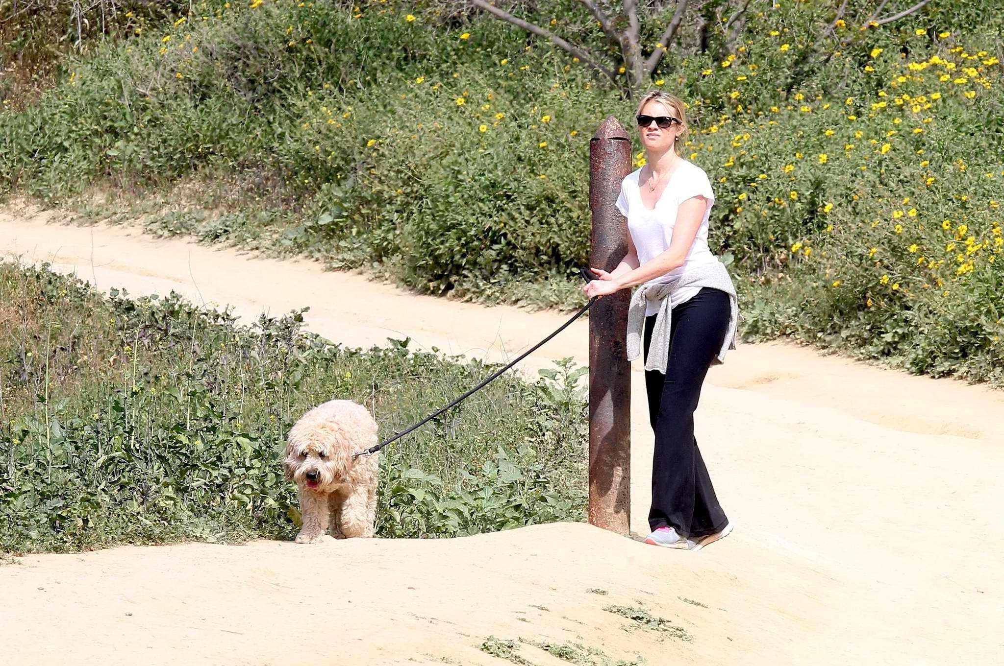 16P Amy Smart downblouse while walking her dog at a park in Beverly Hills