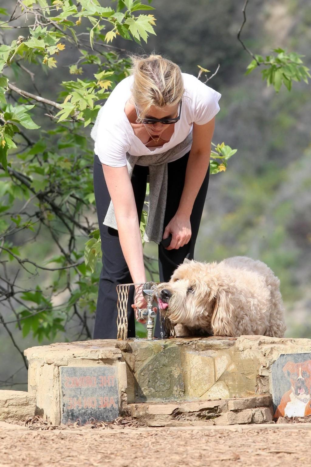 16P Amy Smart downblouse while walking her dog at a park in Beverly Hills