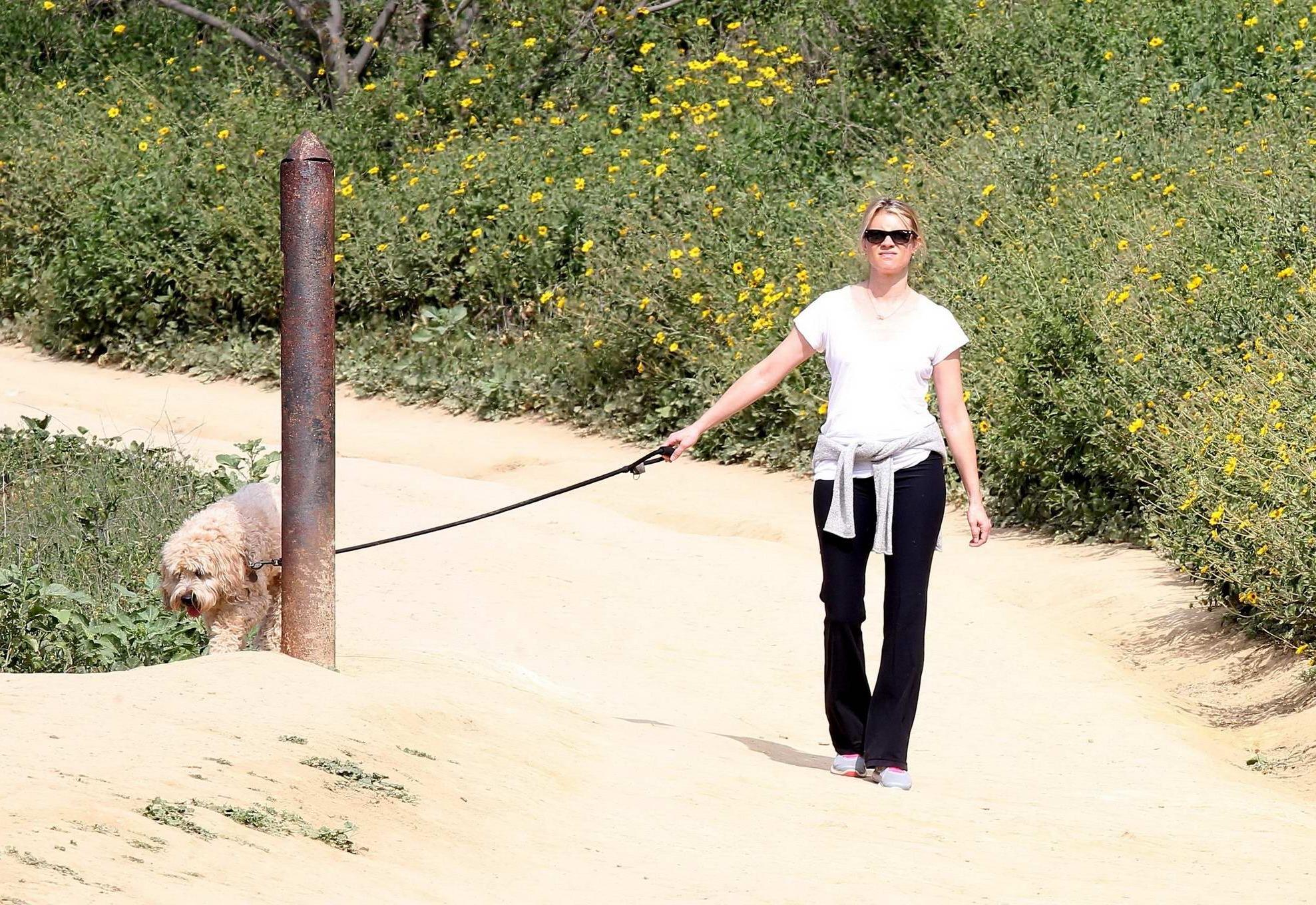 16P Amy Smart downblouse while walking her dog at a park in Beverly Hills