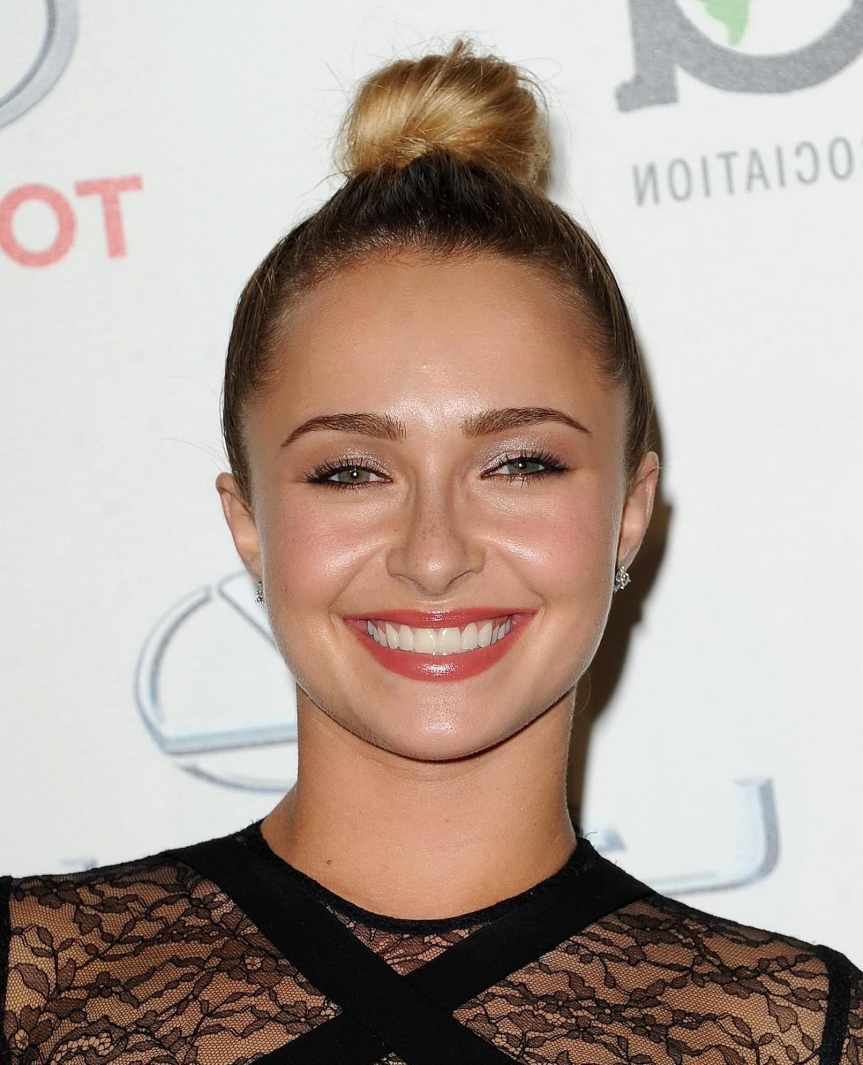 13P Hayden Panettiere wearing a partially see through dress at the 23rd Annual Envir