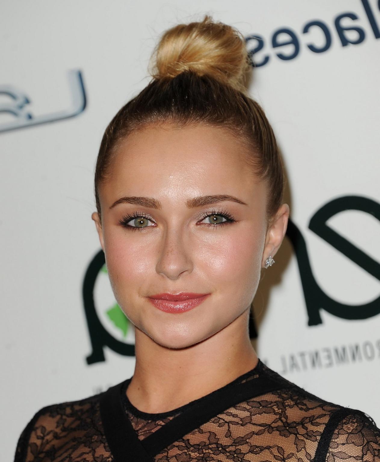 13P Hayden Panettiere wearing a partially see through dress at the 23rd Annual Envir