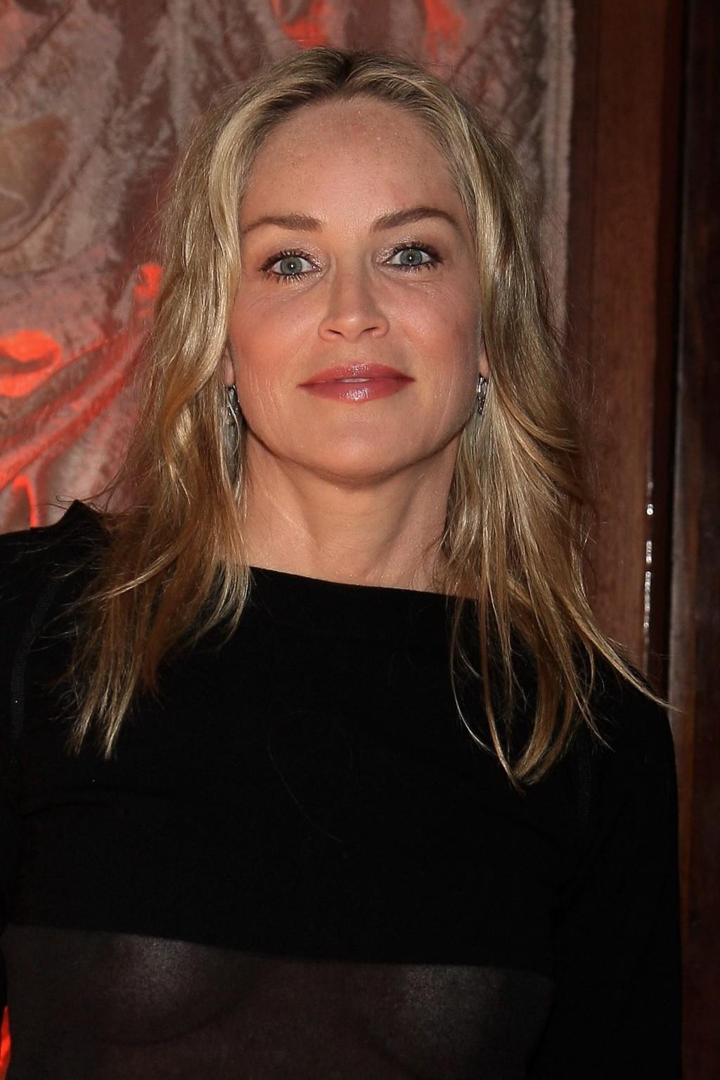 10P Sharon Stone showing off her boobs in see through top at  amfAR Inspiration Nigh
