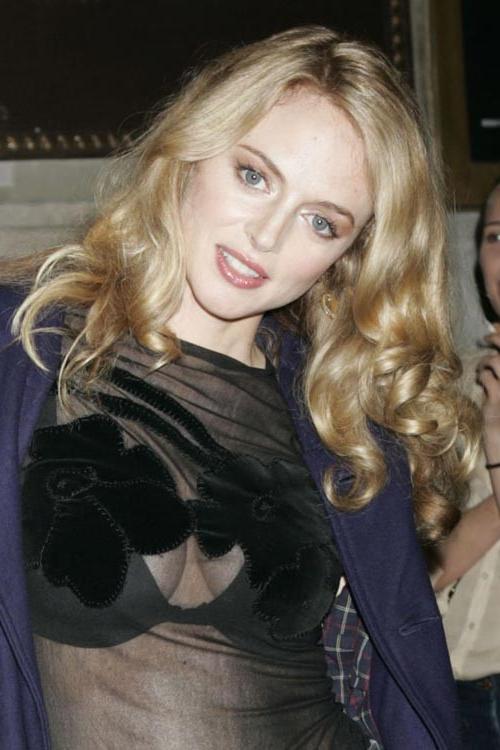 15P Heather Graham letting a guy to touch her tits