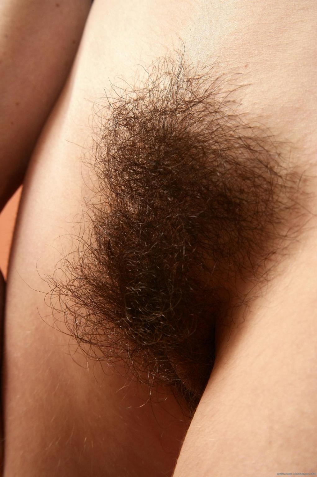 15P Hairy petite amateur teen Felix spreading