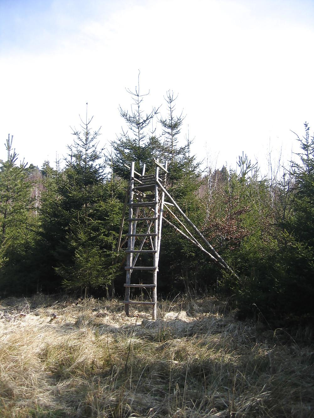 15P Im Wald auf dem Hochstand ...