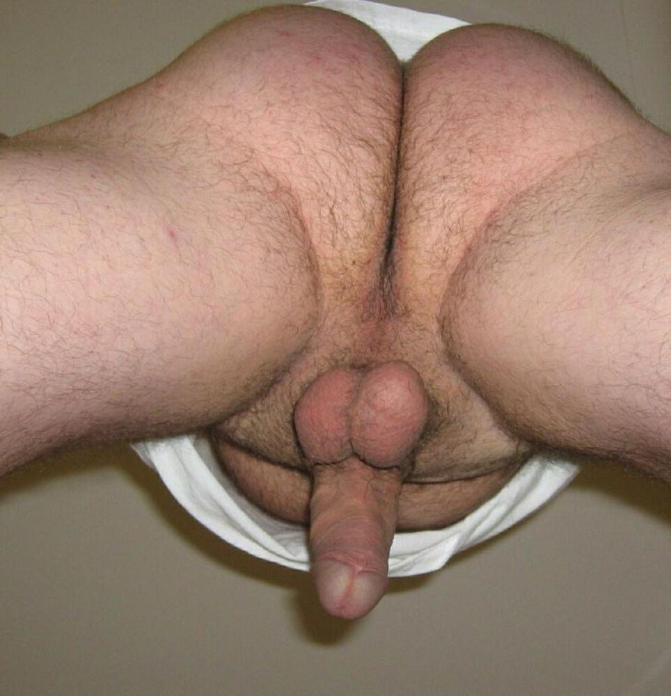 15P Hairy bear bfs posing and jerking off cock gallery 7
