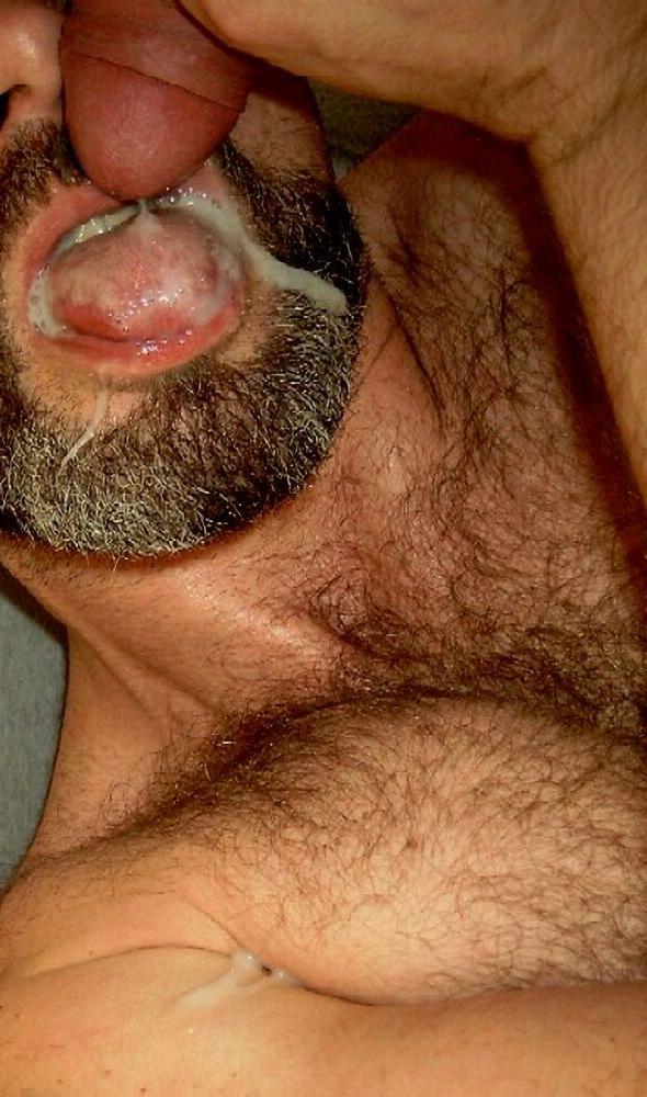 15P Hairy bear bfs posing and jerking off cock gallery 11