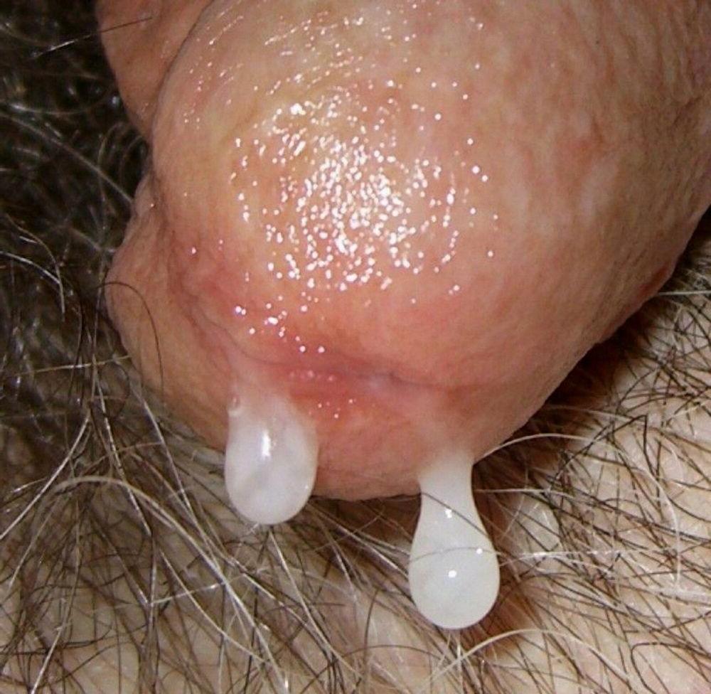 15P Hairy bear bfs posing and jerking off cock gallery 21