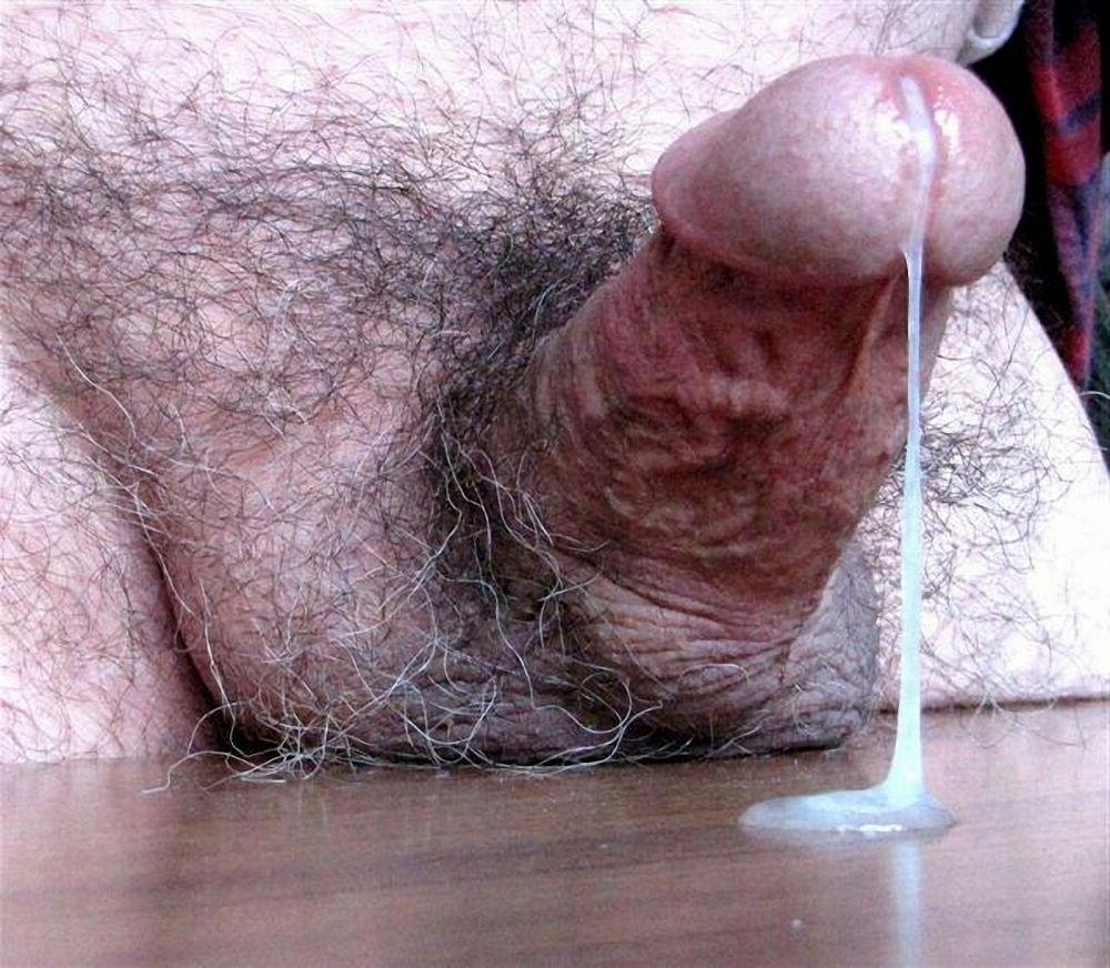 15P Hairy bear bfs posing and jerking off cock gallery 20