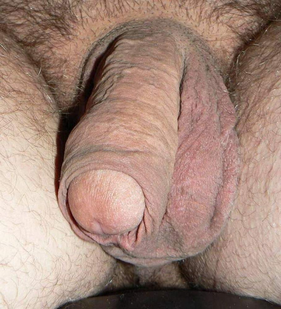 15P Hairy bear bfs posing and jerking off cock gallery 19