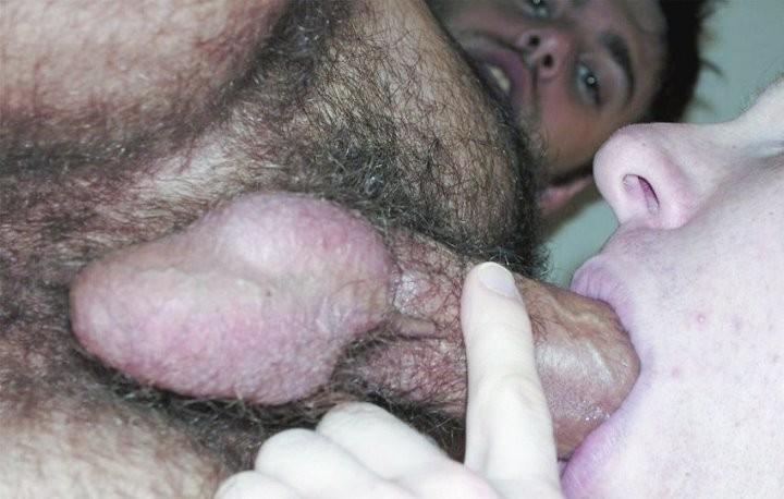 20P Sucking a huge penis and licking a hairy  ass hole