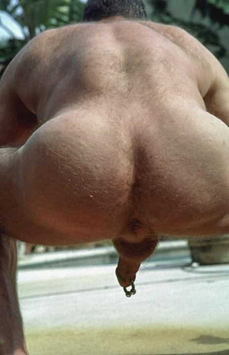 20P Mature hairy chested dude showing and jerking off in the garden