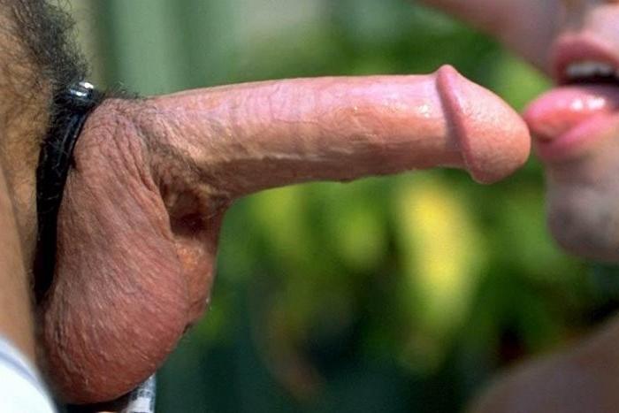 20P Blond and dark haired bears sucking and rimming and thrusting