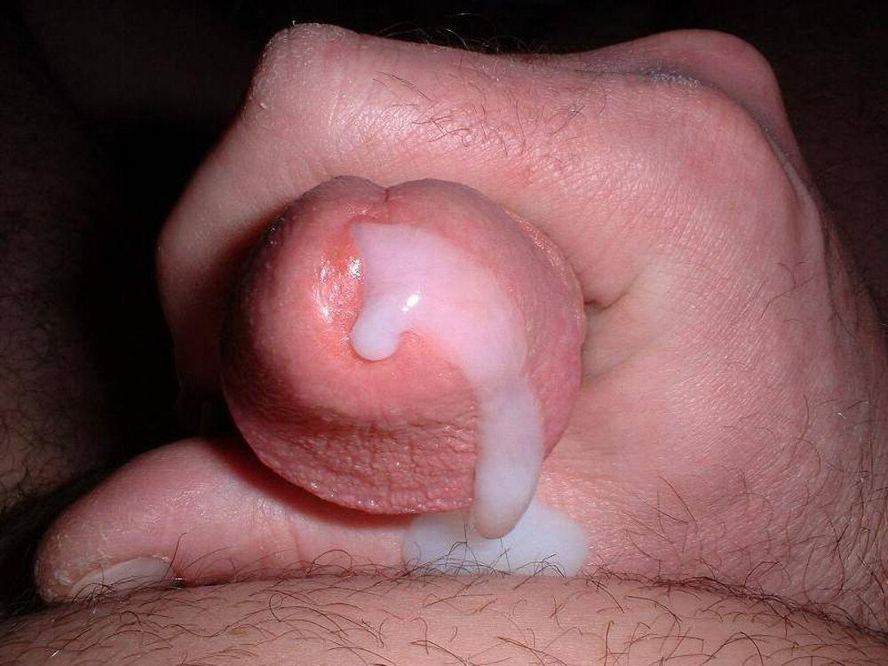 15P Hairy bear bfs posing and jerking off cock gallery 15