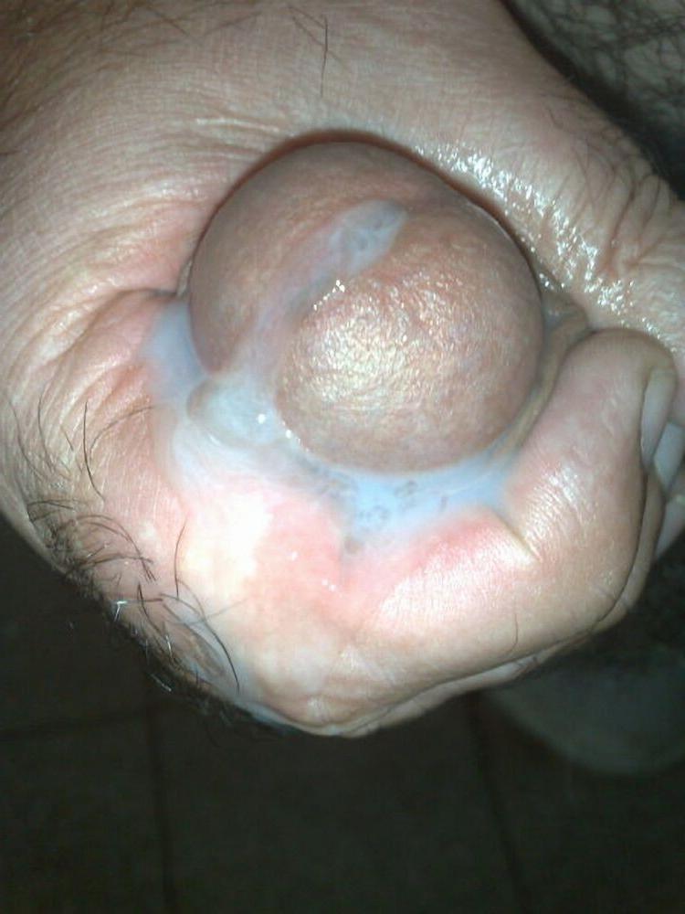 15P Hairy bear bfs posing and jerking off cock gallery 16