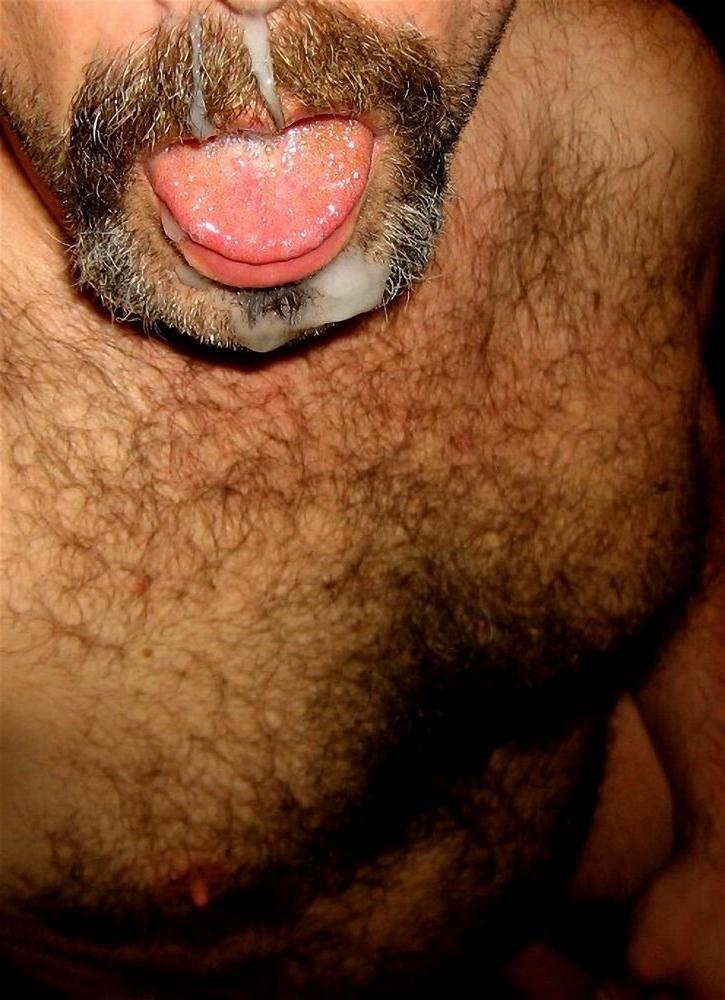 15P Hairy bear bfs posing and jerking off cock gallery 16