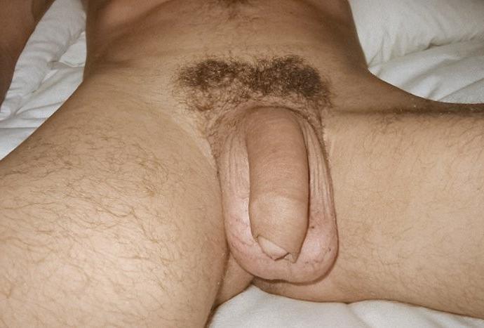 20P Huge cock bear and stud enjoy mutual sweet blowing closeups