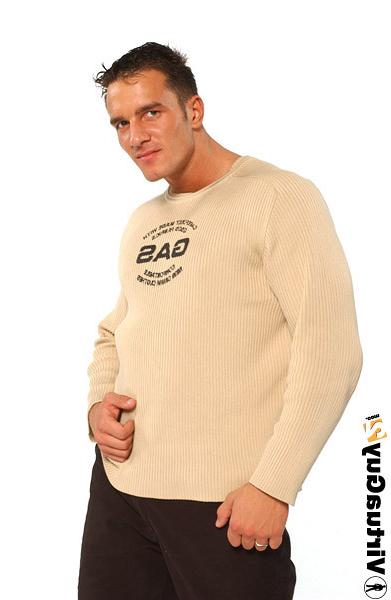 16P Sexy brunette guy posing