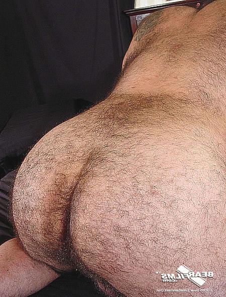 15P Hey guys. Like my furrr ;- Are you looking for a friendly gay bear community Wan