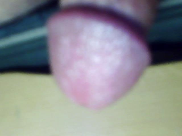 25P Suck  hard cock