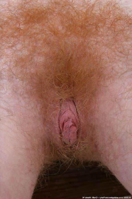 16P Very Hairy Redhead Pussy Red and Furry In Your Face