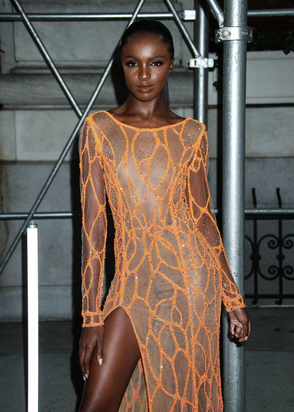 25P Leomie Anderson See-Through
