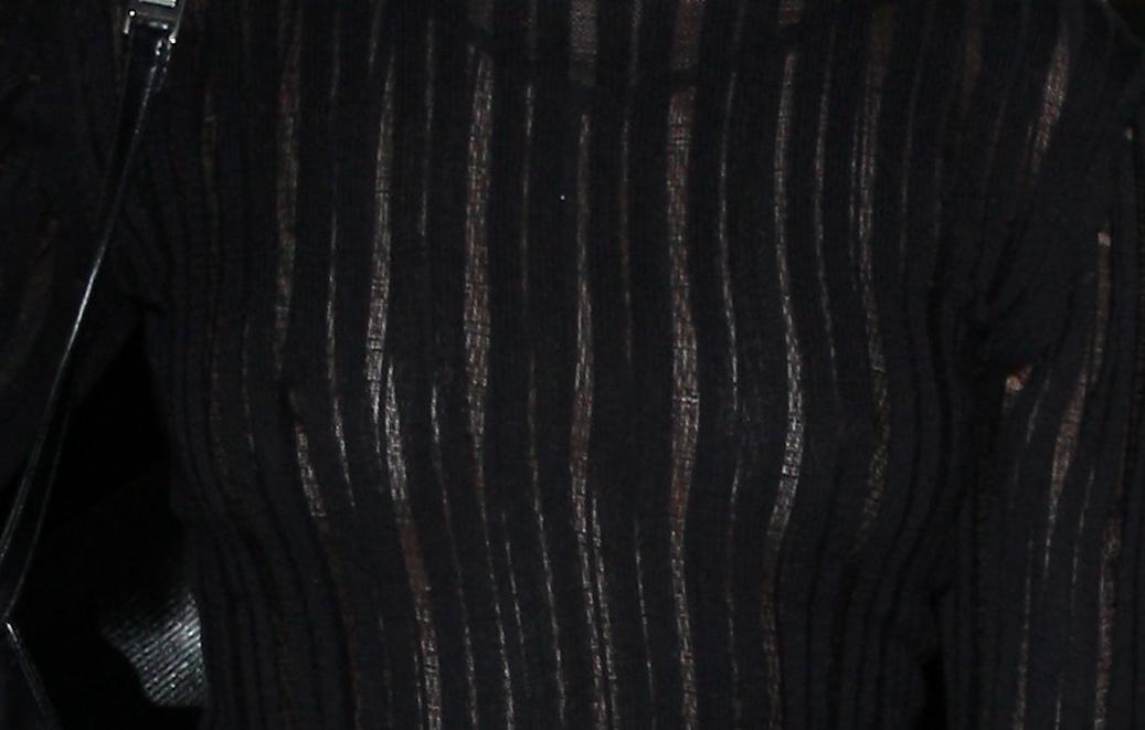 11P Shanina Shaik See-Through