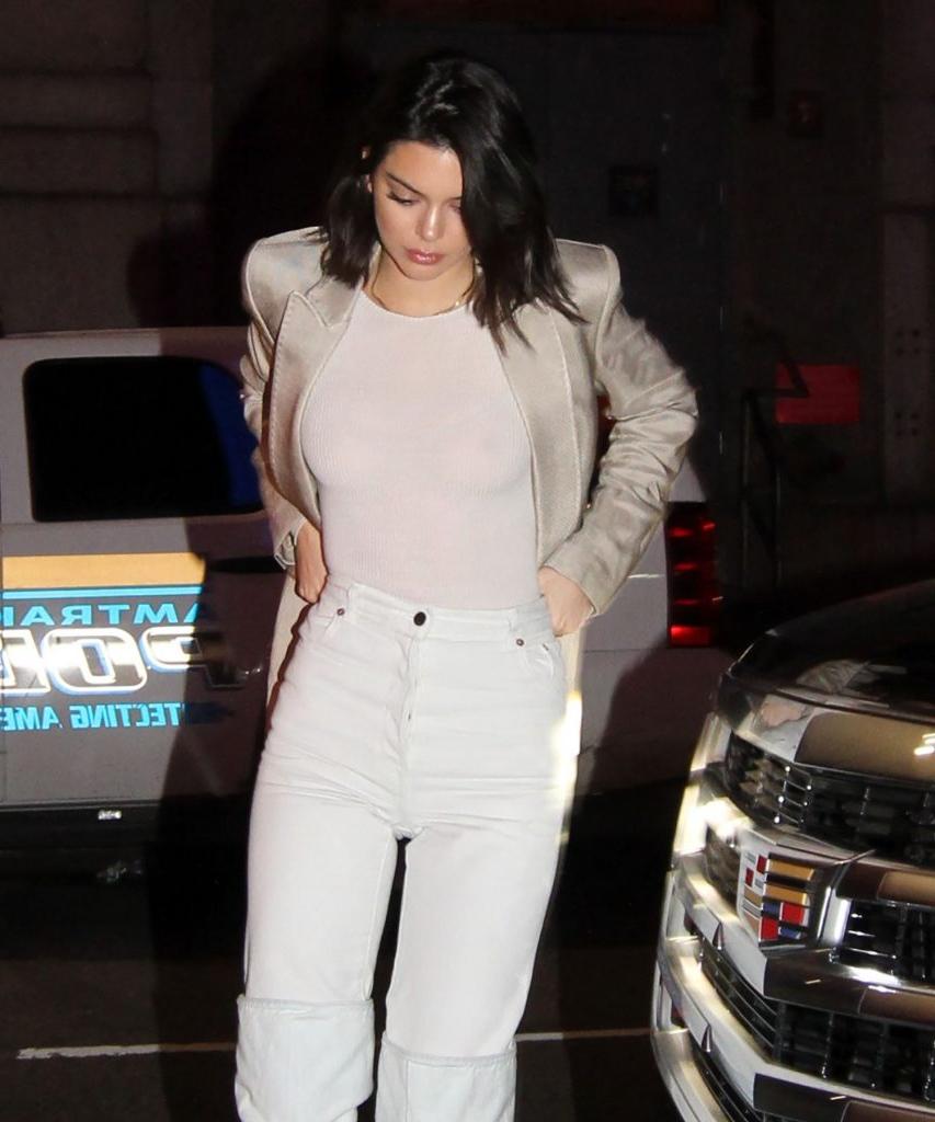 18P Kendall Jenner See-Through