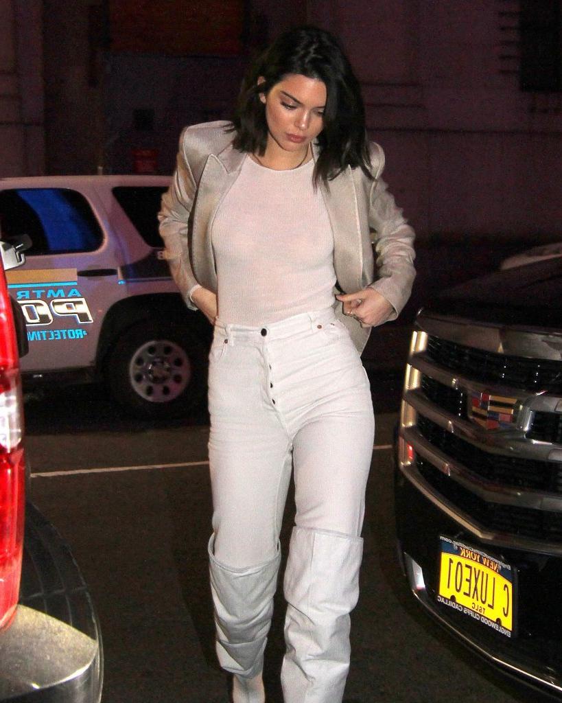 18P Kendall Jenner See-Through