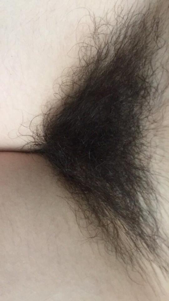 25P teen pussy 241