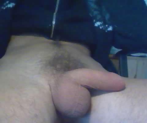 20P Sexe d'homme