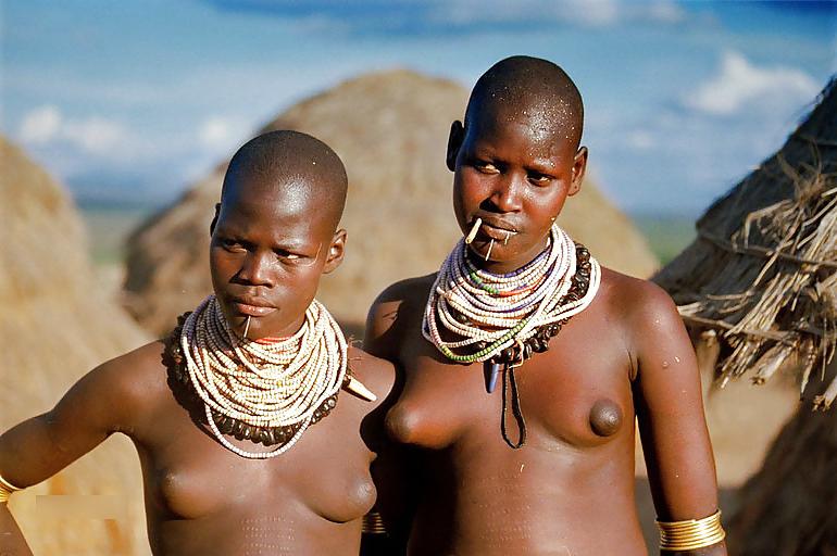 11P The blacks beauty