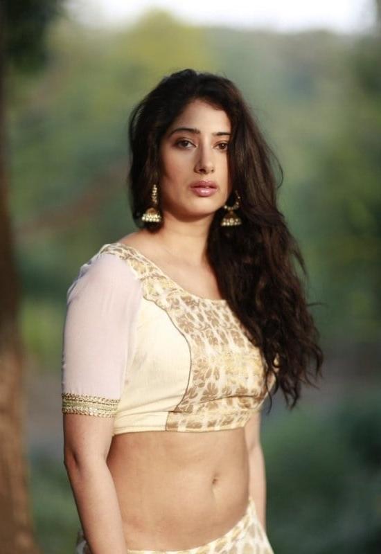 12P desi models