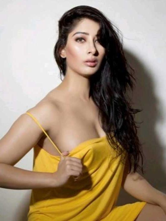 12P desi models
