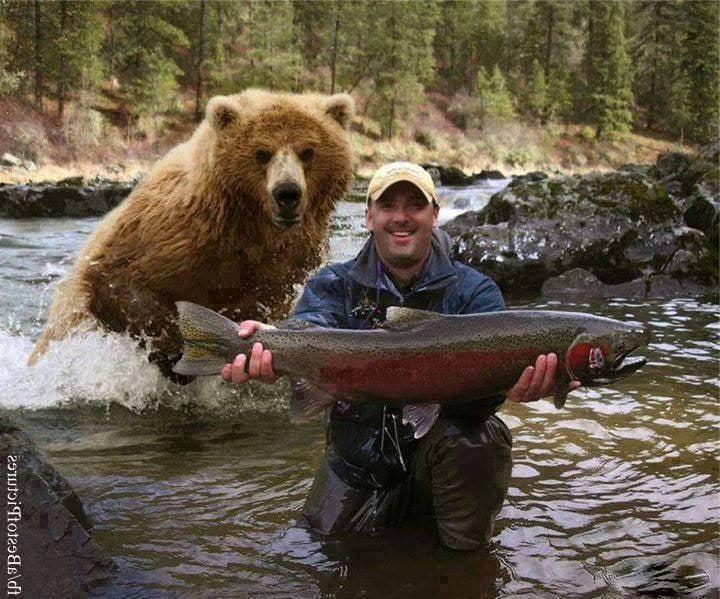 22P BEAR BEHINDS