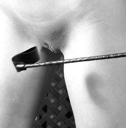 25P Pain, Pleasure, Beauty and Submission